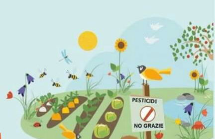 Agriturismo Fior di Maggio - Foto 11