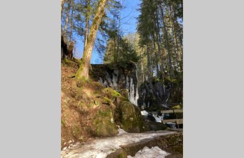 Gemütliche Ferienwohnung in Sankt Blasien - Foto 49