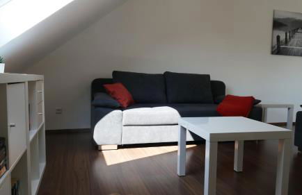 guest apartment niederalfingen - Foto 11