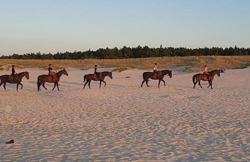 Magico Posto - Foto 47