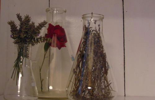 B&B Marana 14 Casa di Campagna - Foto 53