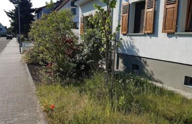 Apartment mit Innenhof, Rasen und Parkplatz - Photo 4