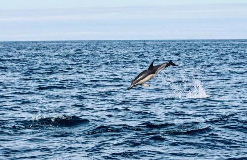 Villa Trouz Ar Mor - Foto 78