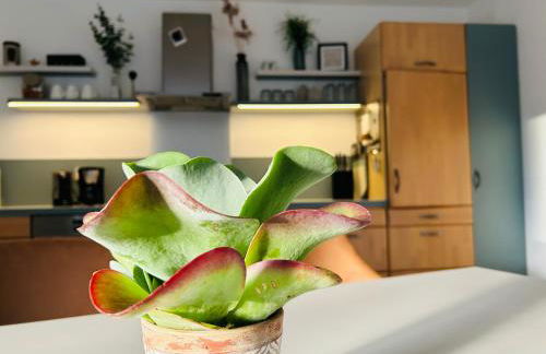 137hideaway Ferienwohnung Eichstätt - Photo 25