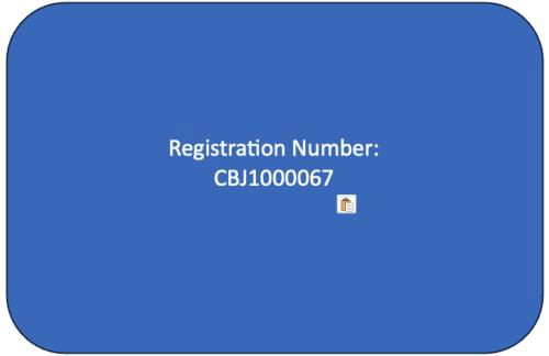 Grandma's House - Large Home - DISCOUNT ON TOURS! - Foto 38