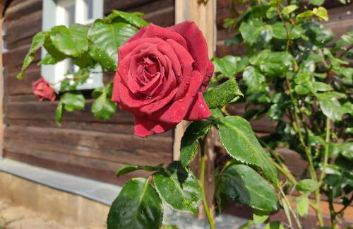 Flachshäusl - Foto 7