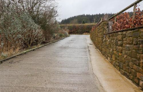 Beech Lodge - Foto 21