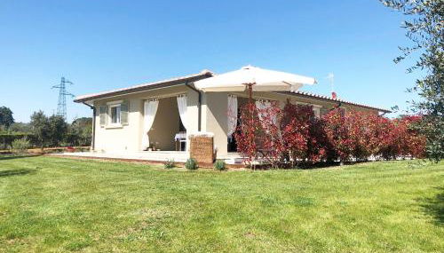 Villa Astra - Foto 2, Garden, Garden view