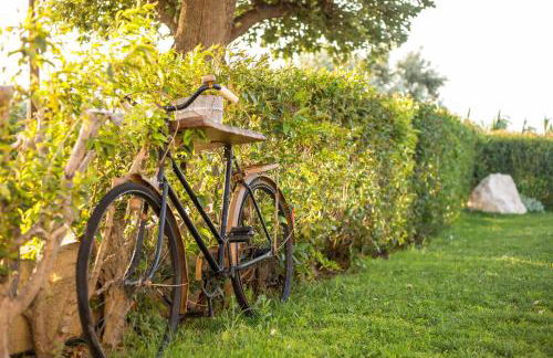 Old Nest House - Foto 17