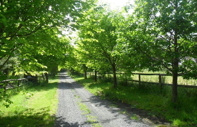 Australian Home Away at Wonga Park Brushy Creek - Foto 1