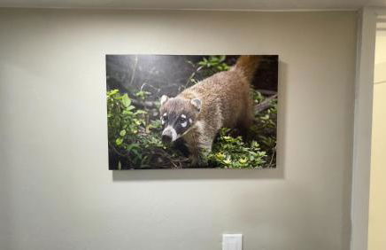 Private Home - Heated Pool, Billiards, Darts, Foosball, Fireplace, 5 Smart TVs, BBQ, Cotton Bedding - The Saguaro Sanctuary, Pool Heat Optional - Foto 51