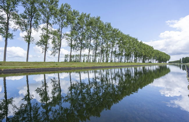 Romantic Chalet Near Wilhelminadorp - Foto 34