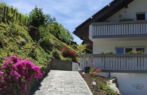 Steepleview House, Schwarzwaldblick Apartment - spacious & peaceful - Foto 3