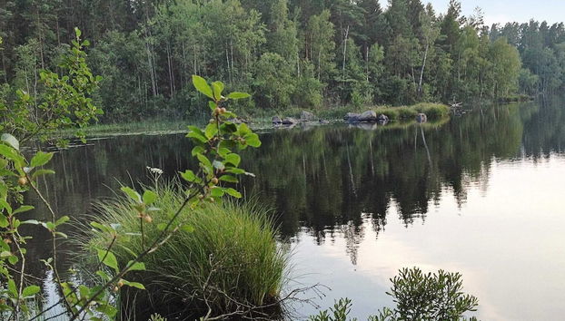 6 Person Holiday Home in Hallabro - Foto 3, Miscelánea