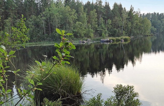 6 Person Holiday Home in Hallabro - Foto 3