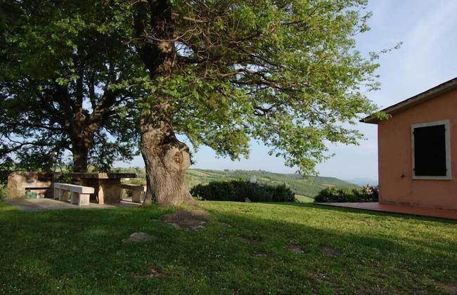 Country House Poggio Aione - Foto 76
