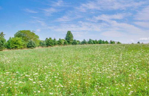 1800s Romantic Cabin! Fireplace and 3 Jacuzzi Tubs - Foto 30