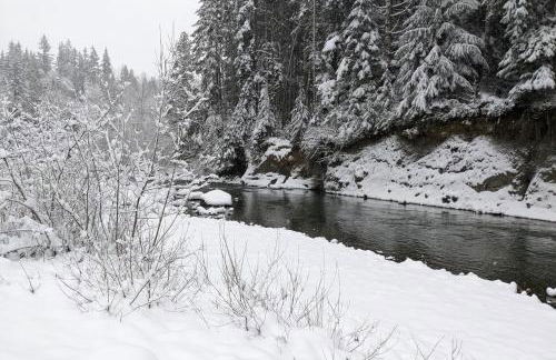 Moonlight House - Foto 44