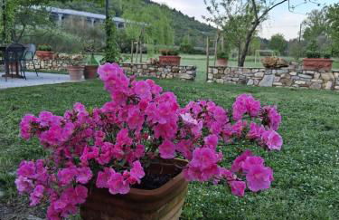 La Valletta - Foto 16