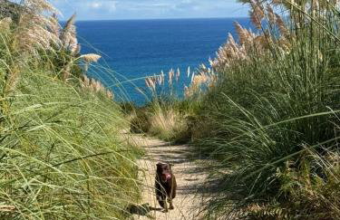 APARTAMENTO con Jardín en Bádames - Foto 9