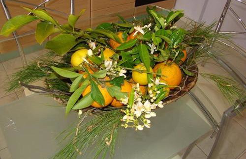 Το Είδωλον - Foto 7