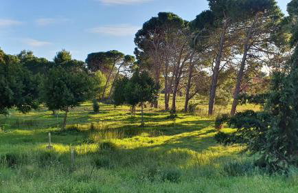 Villa Dunes 350m from the sandy beach - Foto 65