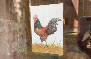 Suiten - Schlamau19 - Foto 51