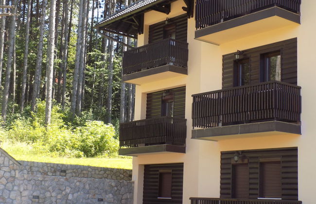 Apartment Bubica Zlatibor Best for Family Holidays and Couples in Love - Foto 29