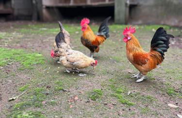 GILS Experience - Photo 2