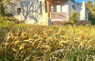 Cortijo Al-Andalus - Foto 75