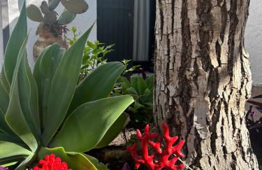 Casa del Sileno 12 - Foto 6