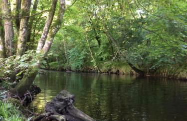 Riverside apartment - Foto 9