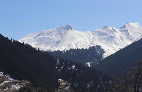 Baou House - Photo 6