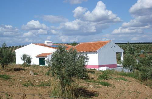 Horta do Muro - Foto 24