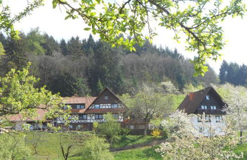 Ferienhof Fischer - Foto 1