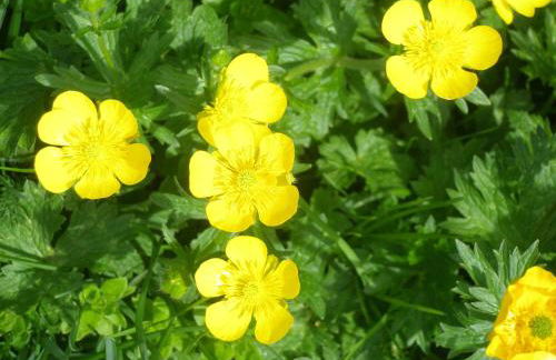 Apartamentos Casa Modesto - Foto 22