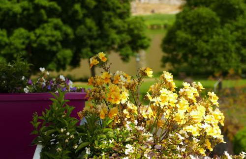 Katrin-Cara Mia Ferienwohnung - Foto 29