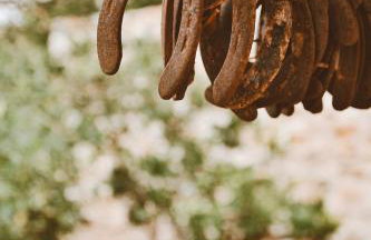 Agroturismo La Gayria - Foto 55