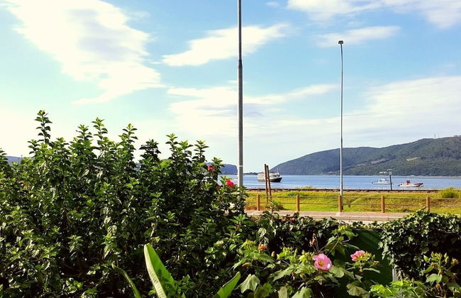 Lakeside Knysna Accomodation - Foto 32