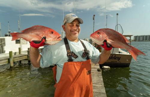 Beautiful Pet Friendly Home! Tropical Pool, Optional Golf Cart & Pool Heat, Minutes to Beach - Foto 74