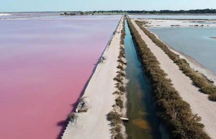 Camargue - La Saline Forézienne - Salin-de-Giraud - Foto 46