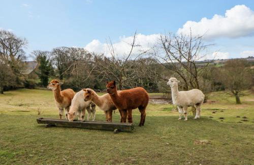 Stackyard - Photo 66