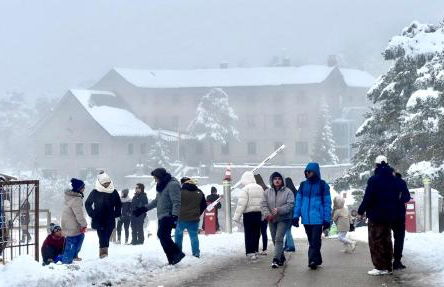 La Casita del Escorial -Nueva reforma Tranquilidad y jardín privado - Foto 40