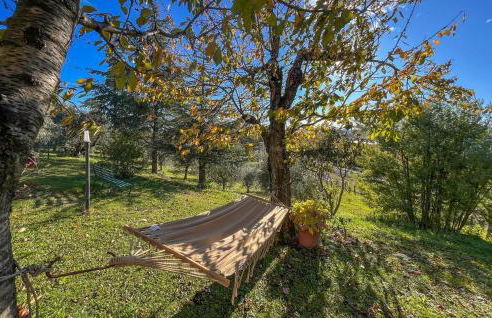 La Giuncaia - Photo 10