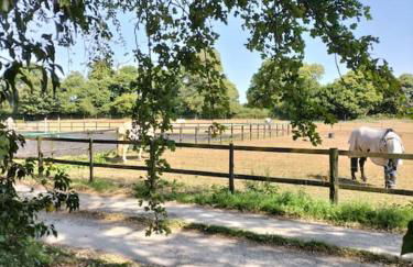 Cosy cottage with vineyard view near Goodwood Chichester - Photo 15