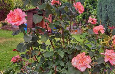 Wickys Igelnest - Foto 71