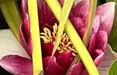 Virolet Barn - Foto 56