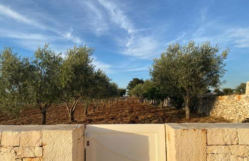 Porta dell'est - Foto 17