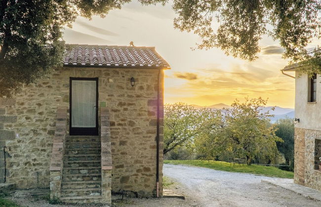 Podere Montale Il Borgo - Photo 49