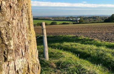 Ferienwohnung an der Hohwachter Bucht - Foto 15